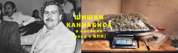 сатива Краснотурьинск