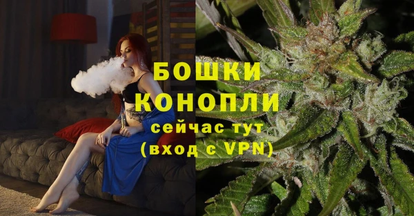 a pvp Краснослободск