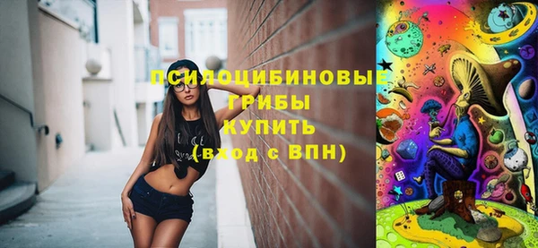a pvp Краснослободск