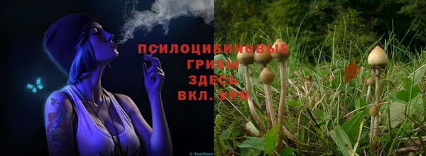 мяу мяу мука Красноперекопск
